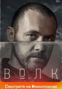Волк (сериал, 2020) 1 сезон смотреть онлайн на Лордфильм
